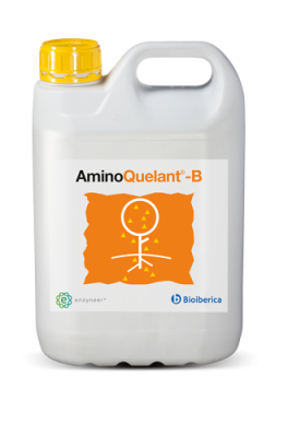 AminoQuelant®-B, nutrición biodisponible solución al estrés vegetal