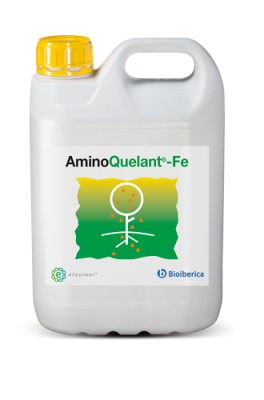 AminoQuelant®-Fe, nutrición biodisponible solución al estrés vegetal