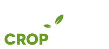 Crop-Scan, agricultura de precisión