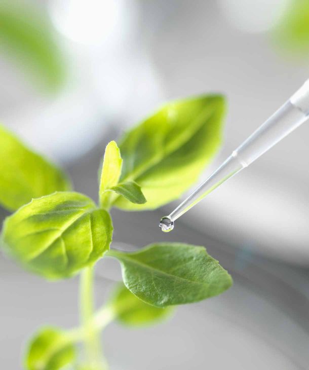 Planthealth - Solutions for plant stress