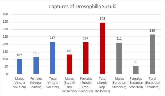 Capturas Drosophila Suzukii
