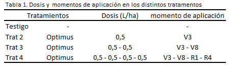 Optimus Tabla 1