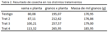 Optimus Tabla 2