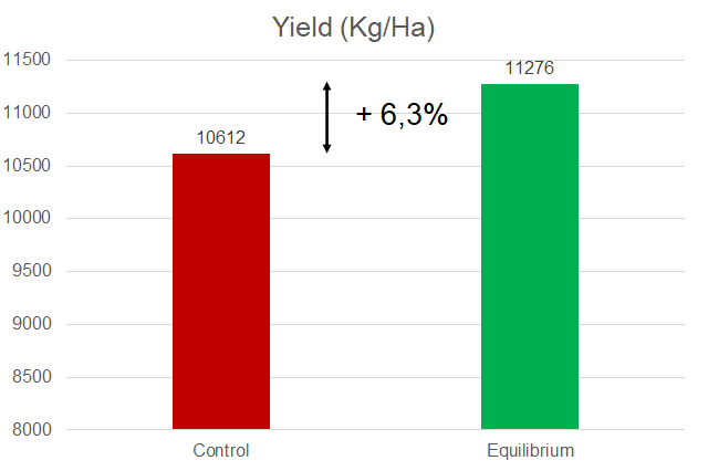 Corn 1