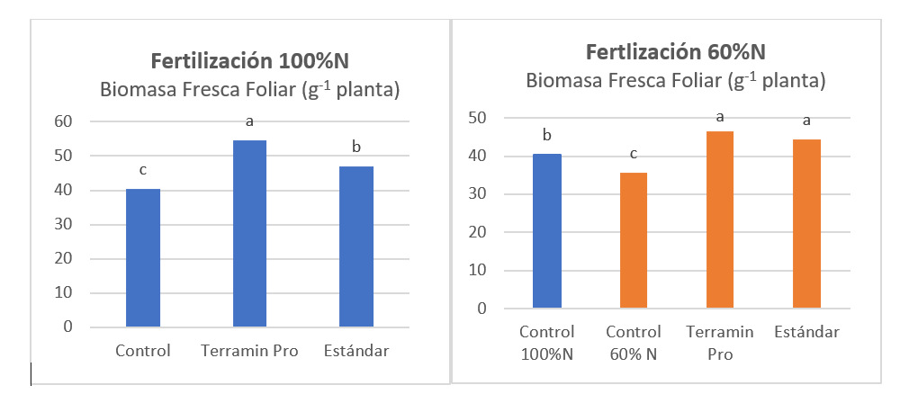 Gráficas 1 y 2