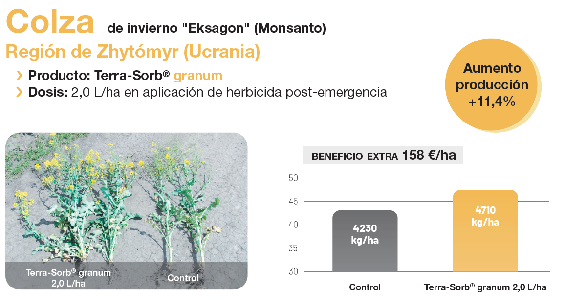 TSGranum Colza