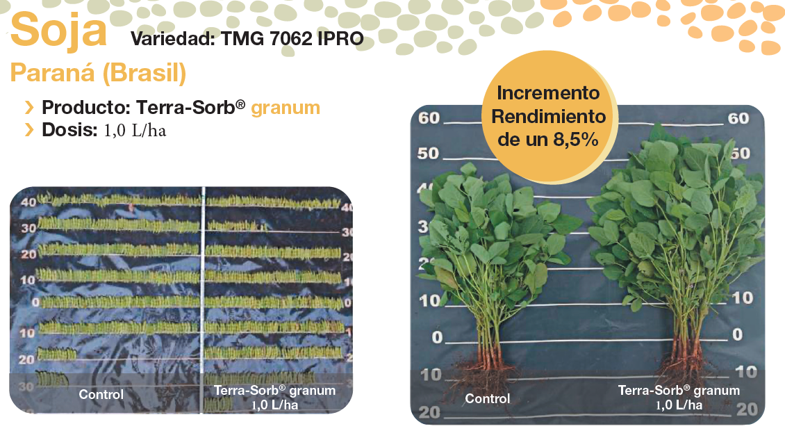 TSGranum Soja 2