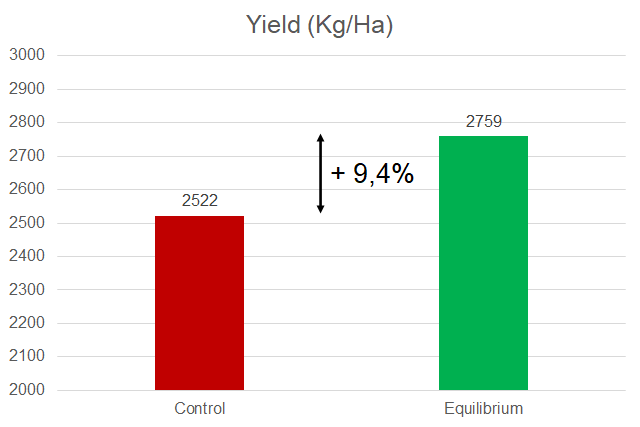 soybean1