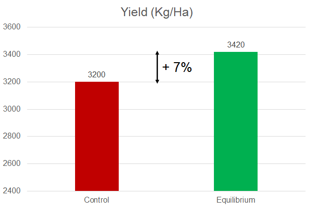 soybean2