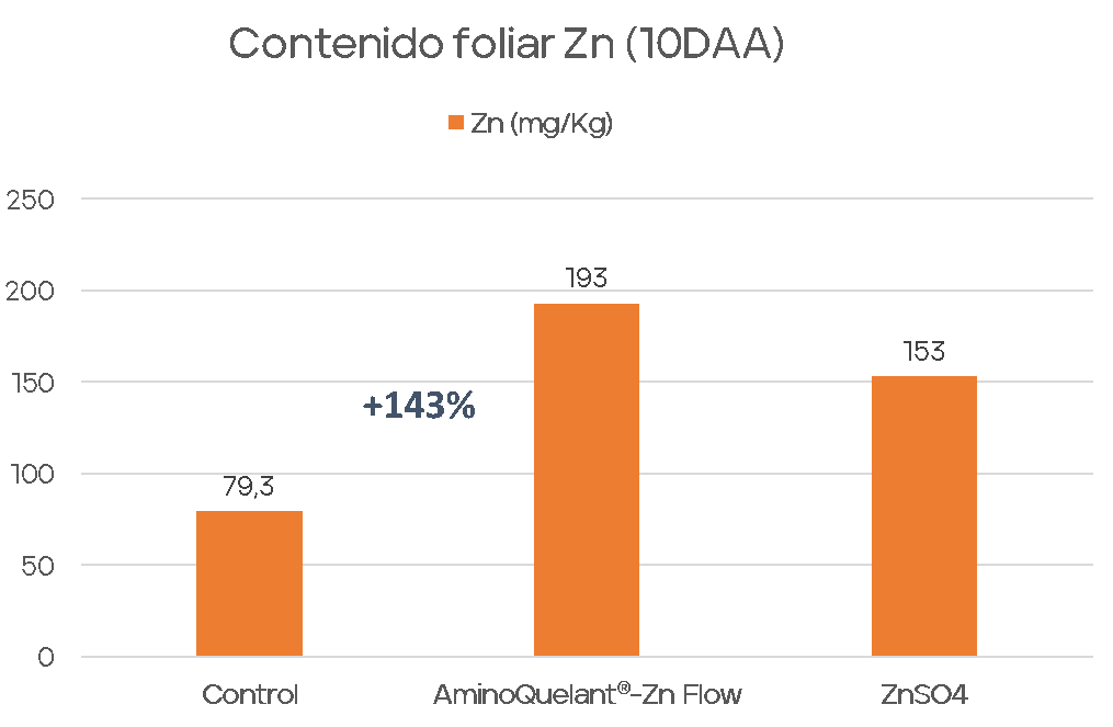 Resultados AQZnFlow Maiz