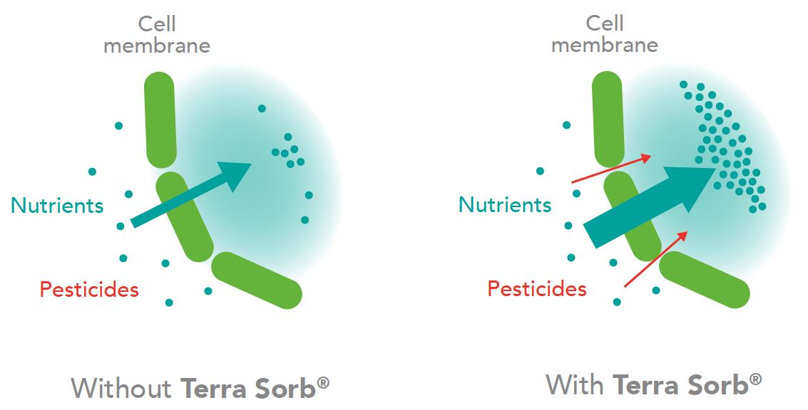 Aplicación de Terra Sorb junto con los tratamientos fitosanitarios ENG