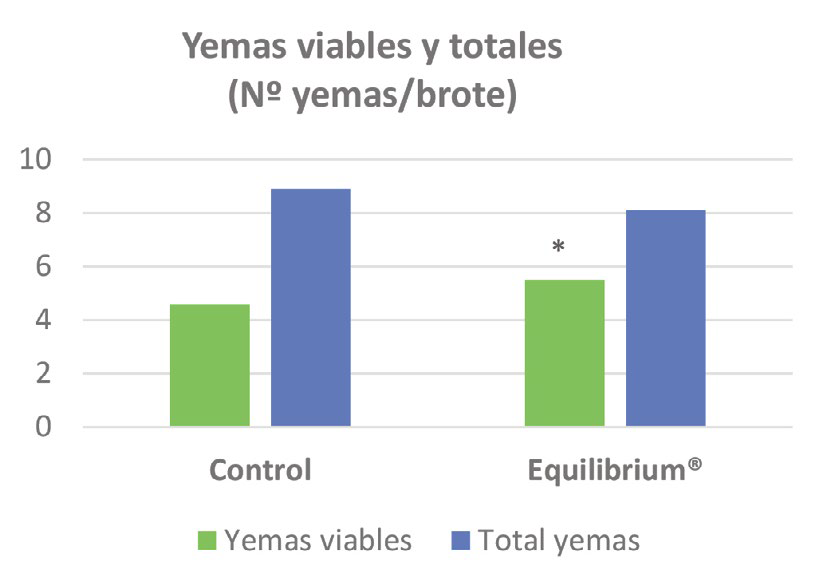 Figura 1 Equilibrium uso de bioestimulación para mitigar la alternancia de cosechas en pistachero