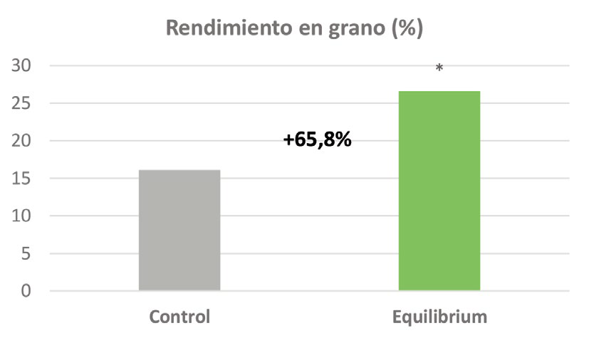 Figura 2 Equilibrium uso de bioestimulación para mitigar la alternancia de cosechas en pistachero