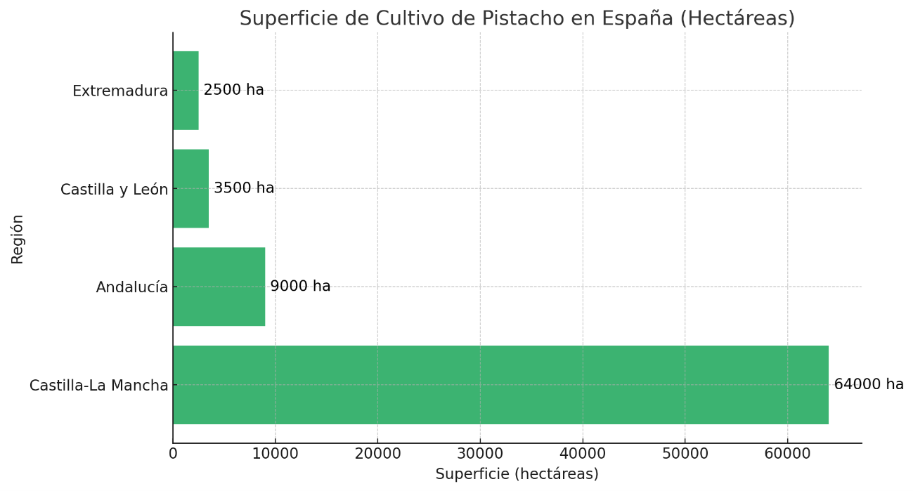 pisatacho 2