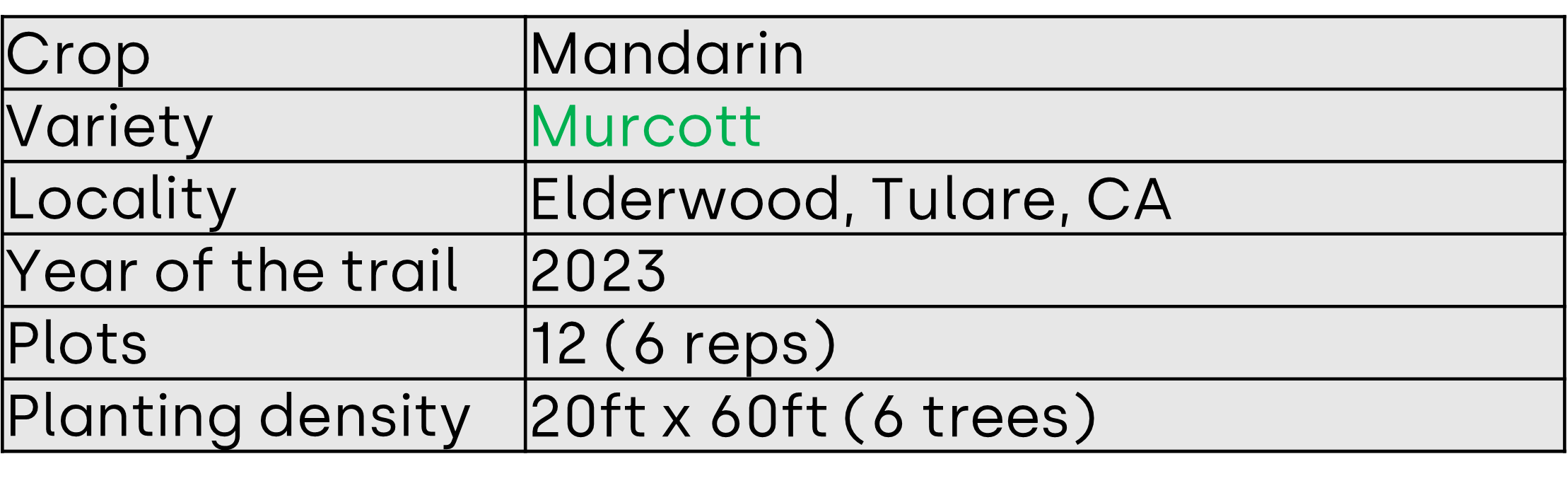 mandarin murcott trial description