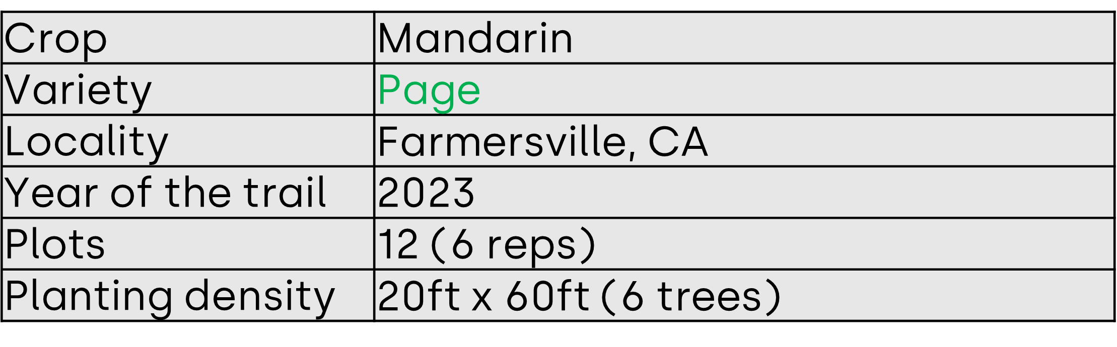 mandarin page trial description