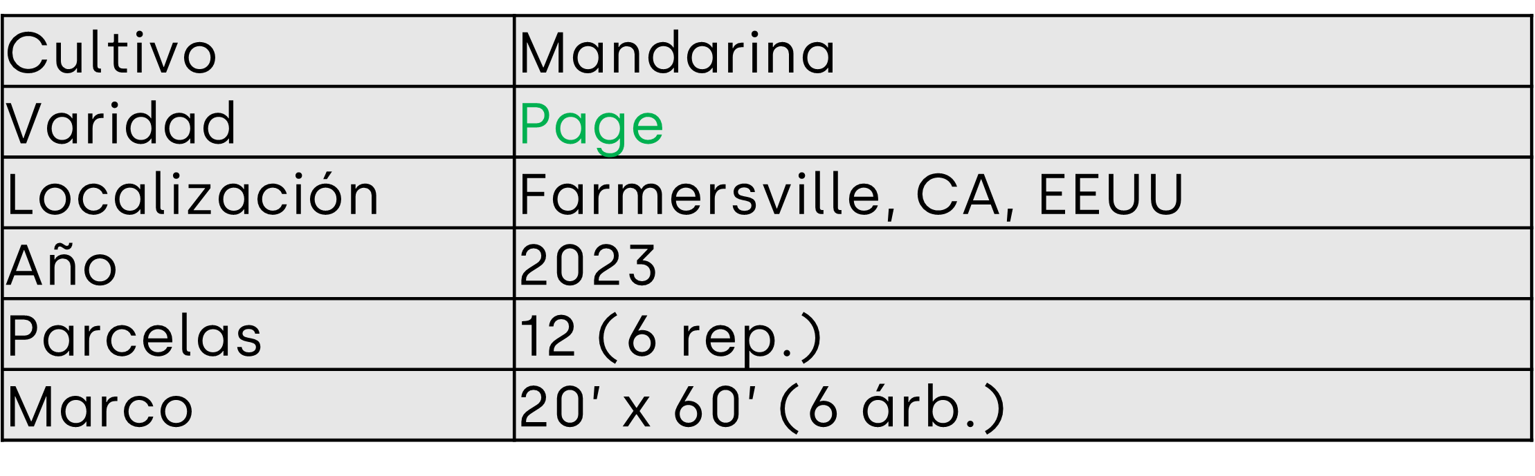 mandarina page descripcion ensayo