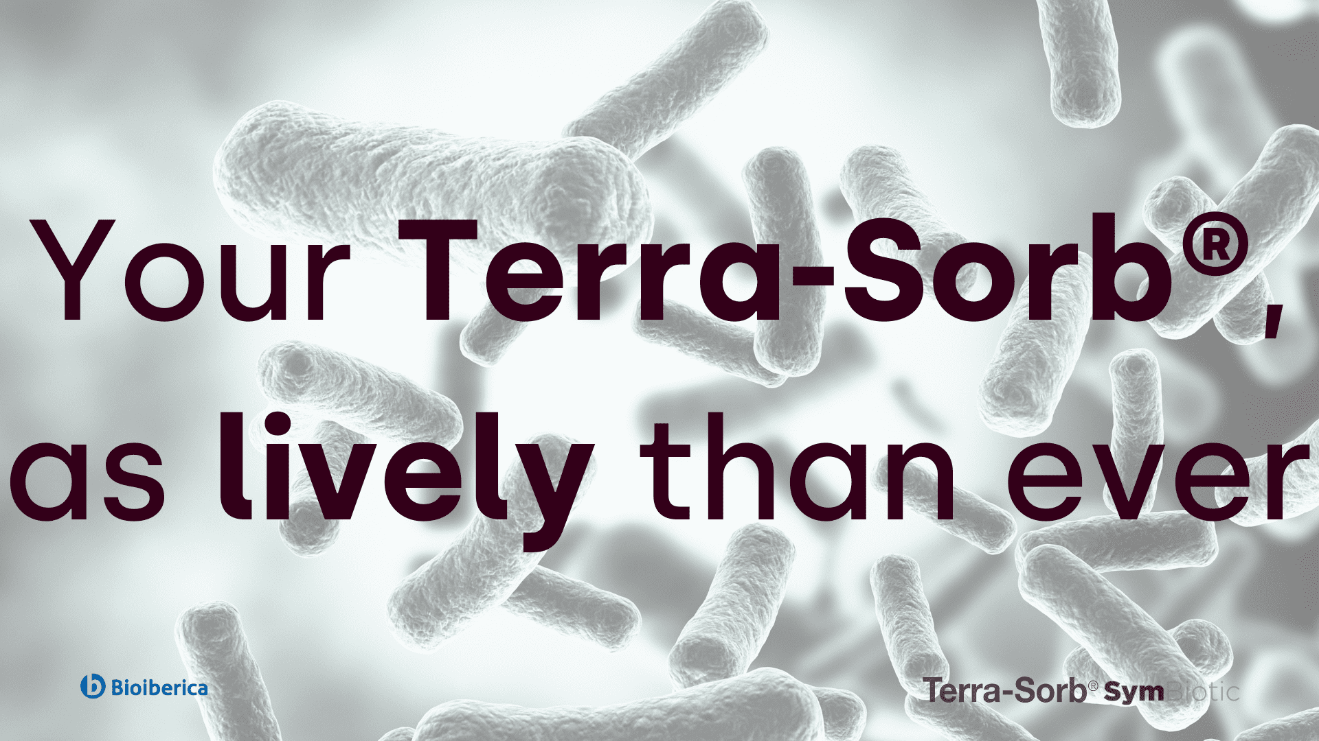 Your Terra Sorb as lively as ever