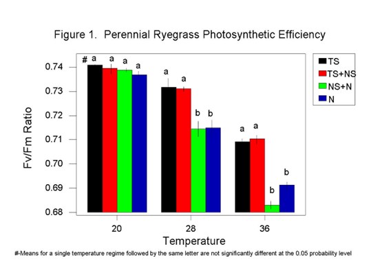 Allies Against Heat How Biostimulants Protect Your Crops