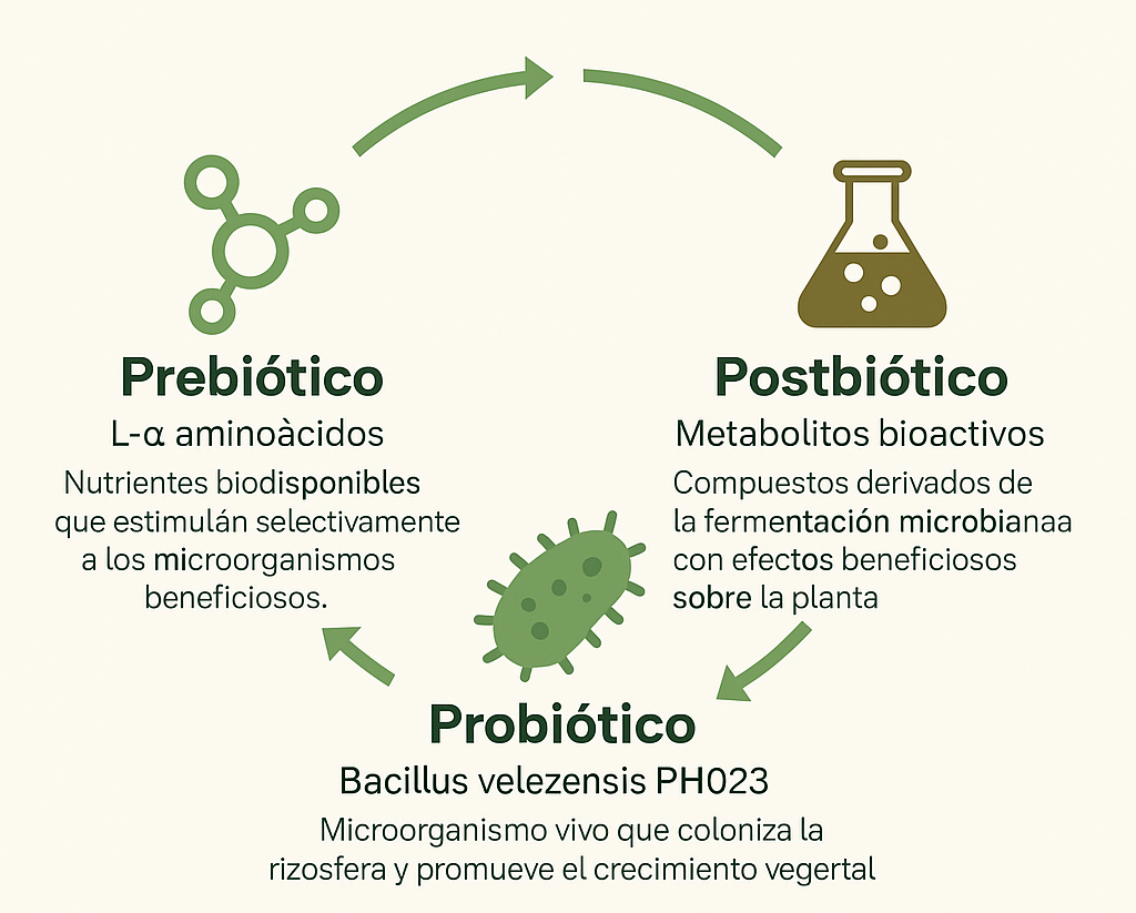 post prepropost