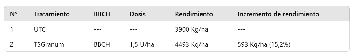 Romania Wheat Treatment