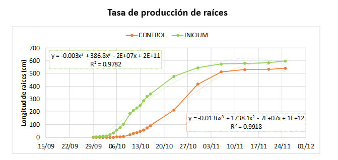 Asfixia radicular tras lluvias intensas qué ocurre bajo el suelo y cómo ayudar al cultivo a recuperarse 3