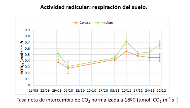Asfixia radicular tras lluvias intensas qué ocurre bajo el suelo y cómo ayudar al cultivo a recuperarse 4