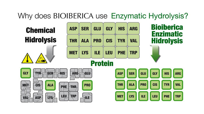 Hydrolisis