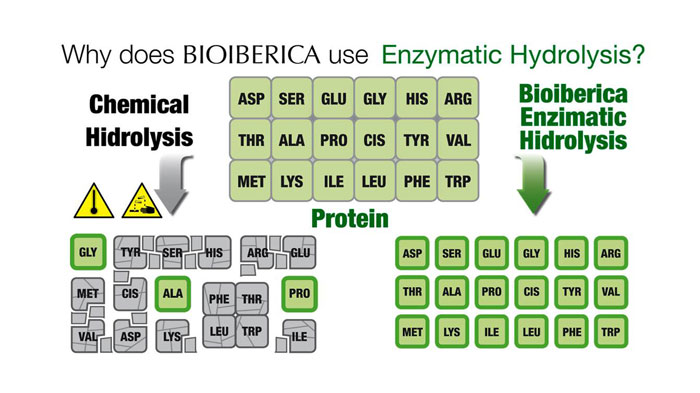 Hydrolisis