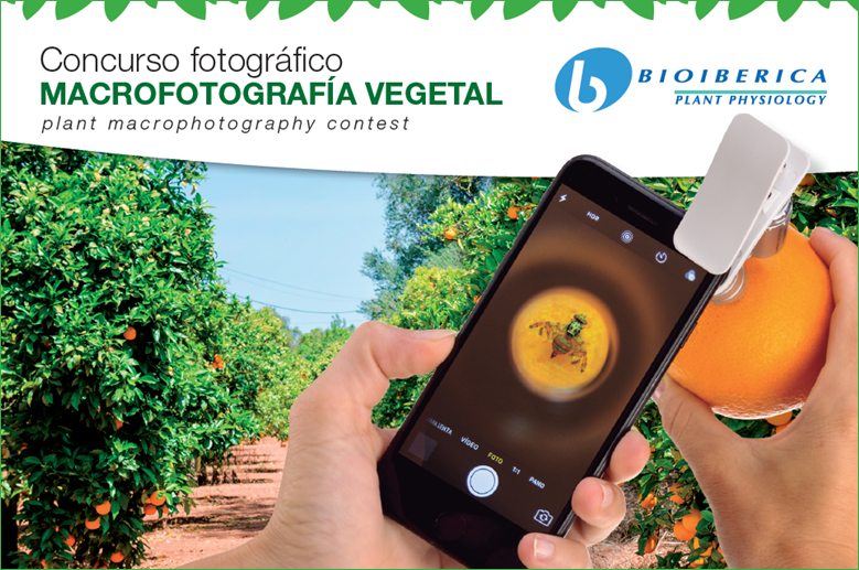 Concurso de macrofotografía