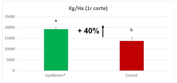 equilibrium nectarina