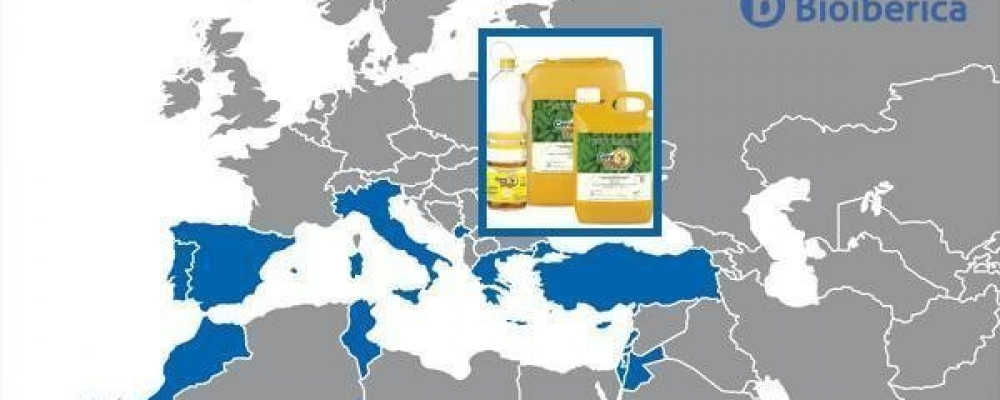 CeraTrap® registrado en Grecia para la captura de las moscas de la fruta. ¡Bienvenido! Καλώς ήλθατε!