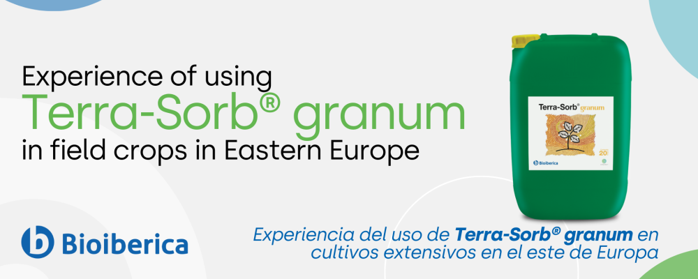 Experience of using Terra-Sorb® granum in field crops in Eastern Europe