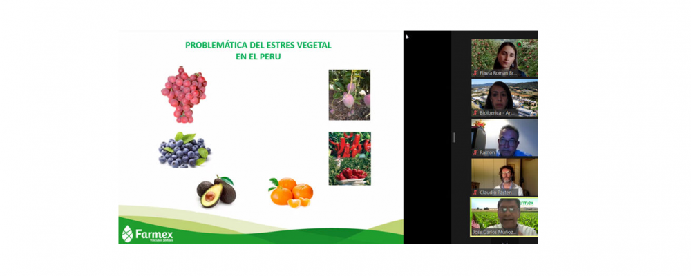 Webinar: Gestión del estrés vegetal y el papel de los bioestimulantes en base a L-α-aminoácidos para modular el impacto y recuperación en los principales cultivos