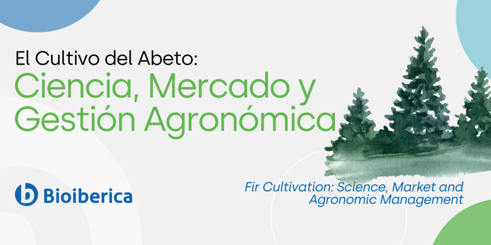 Fir Cultivation: Science, Market and Agronomic Management