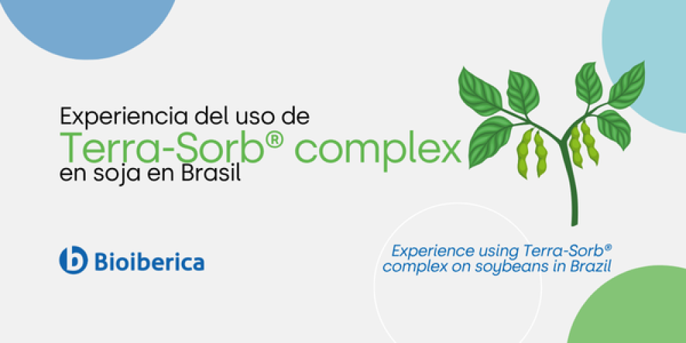 Experience using Terra-Sorb® complex on soybeans in Brazil