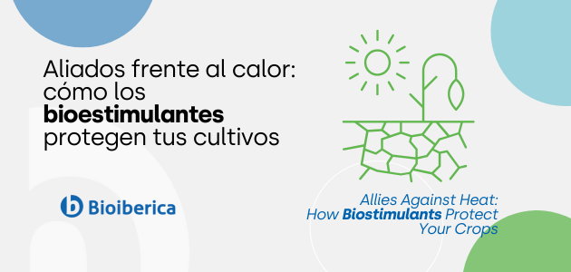 Aliados frente al calor: cómo los bioestimulantes protegen tus cultivos