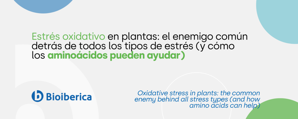 Oxidative stress in plants: the common enemy behind all stress types (and how amino acids can help)