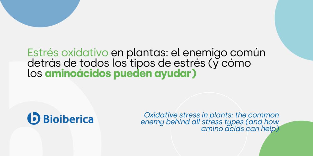 Oxidative stress in plants: the common enemy behind all stress types (and how amino acids can help)