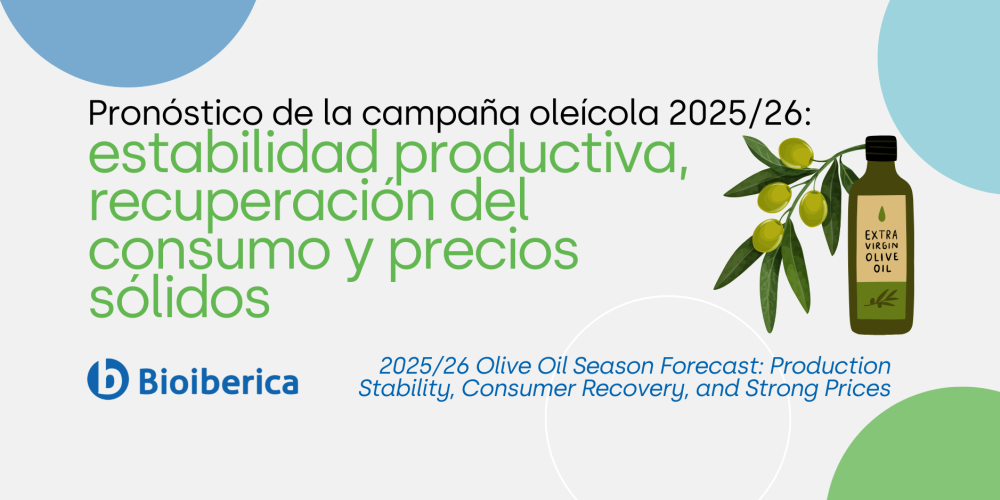 Pronóstico de la campaña oleícola 2025/26: estabilidad productiva, recuperación del consumo y precios sólidos