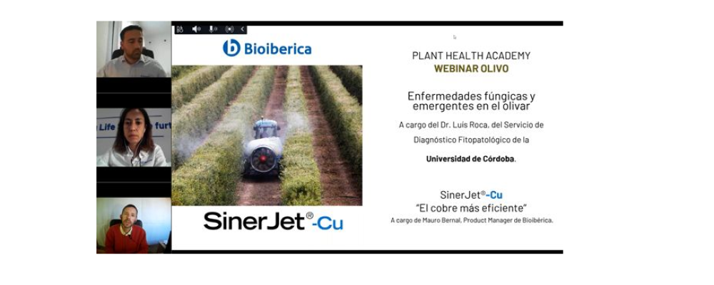 Plant Health Academy: Fungal and emerging diseases in the olive grove