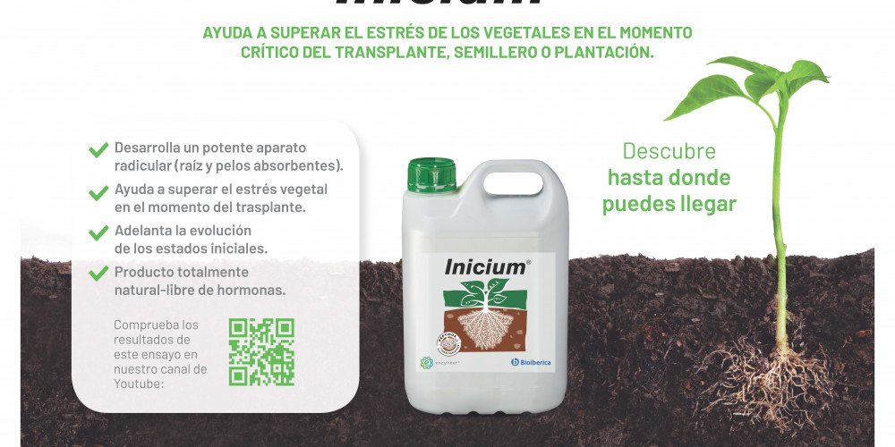 Ensayo demostrativo de las propiedades del biostimulante peptídico Inicium® 