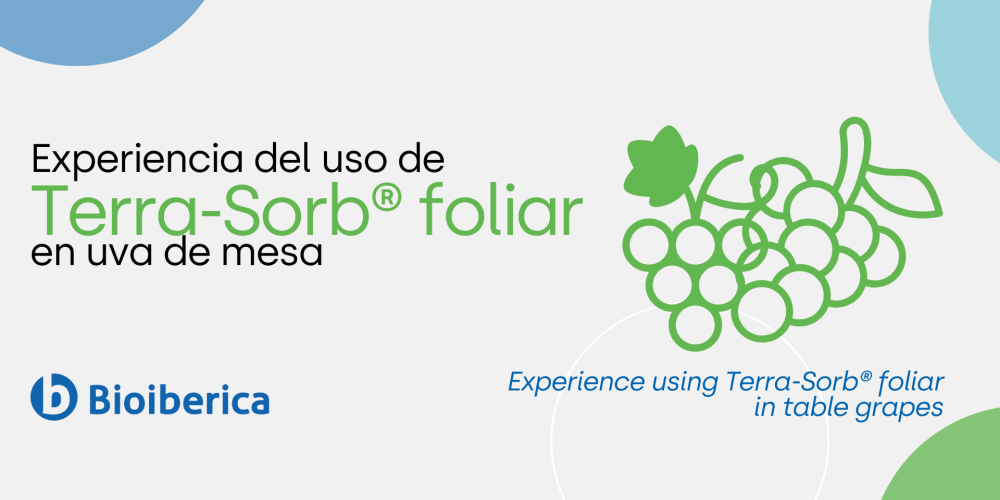 Experience using Terra-Sorb® foliar in table grapes