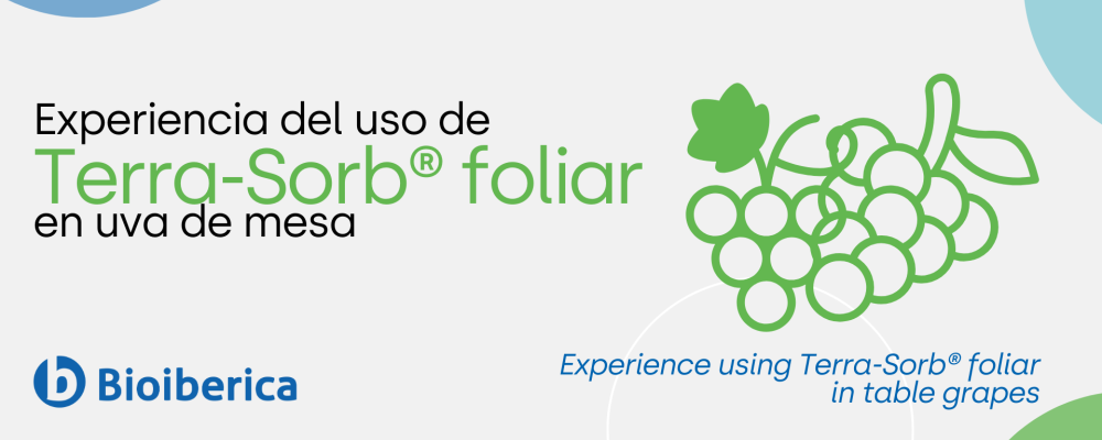 Experience using Terra-Sorb® foliar in table grapes