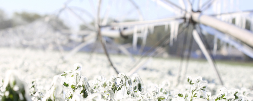 Adaptation to cold