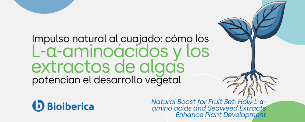 Natural Boost for Fruit Set: How L-α-amino acids and Seaweed Extracts Enhance Plant Development