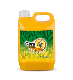 Cera Trap, plant stress solution for Stone and Seed Fruits