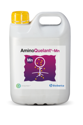 AminoQuelant®-Mn, bioavailable nutrition solution for plant stress