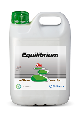 Equilibrium®
